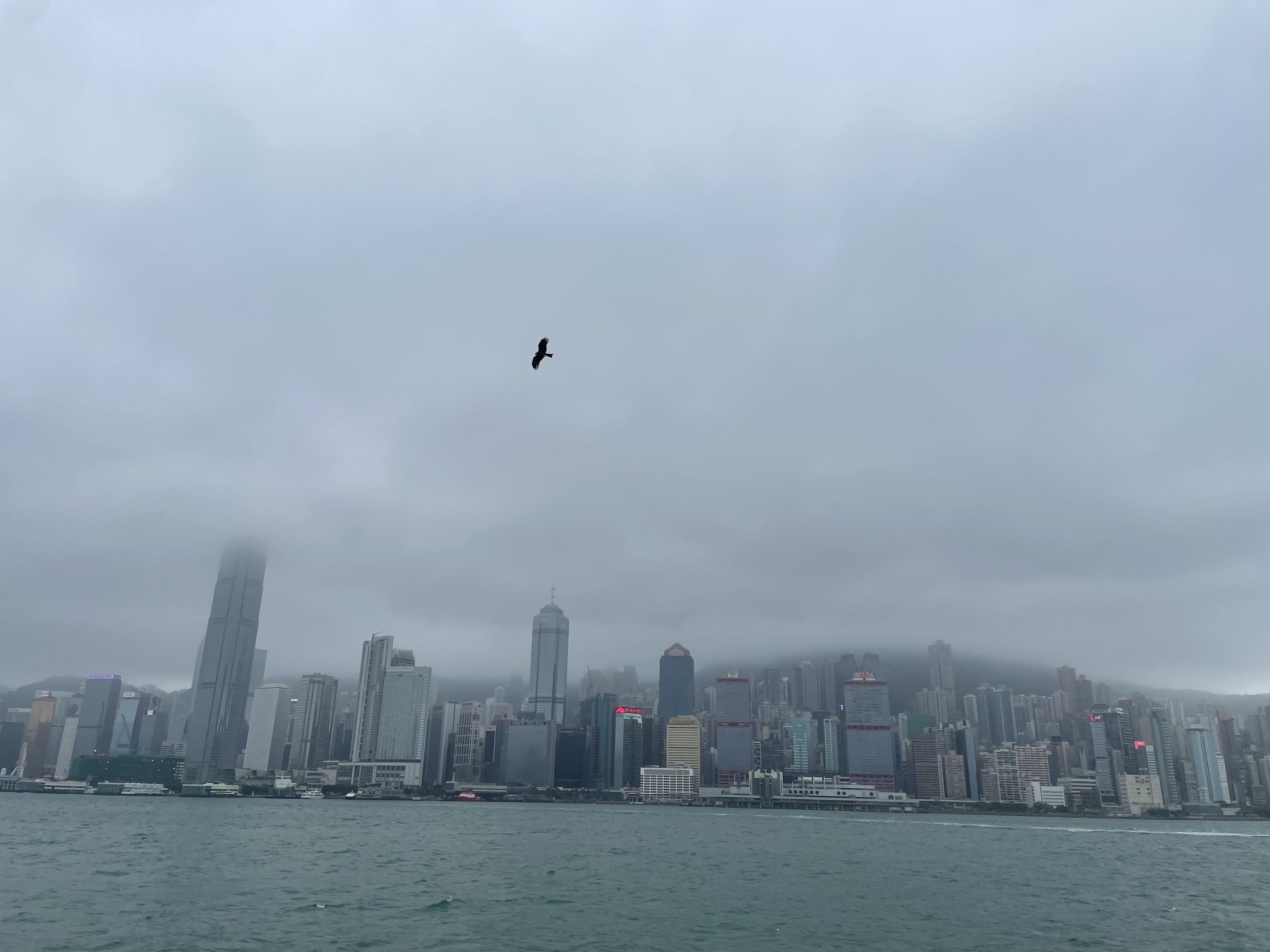 阴云笼罩下的维多利亚港