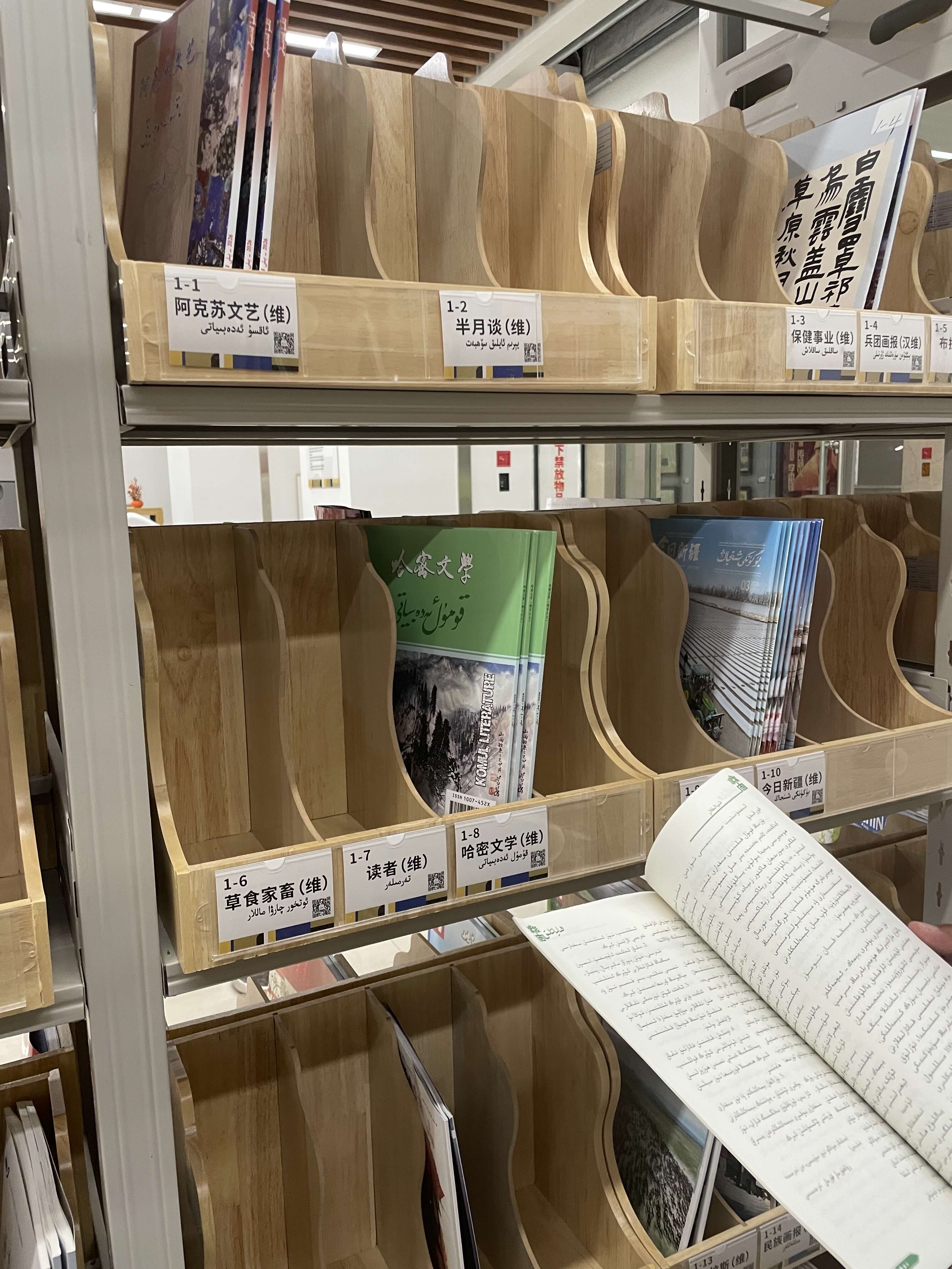新疆图书馆杂志区